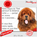 Dogue du Tibet fauve, plaque humour "distance Niche-Portail 3 secondes" 24 cm 3S