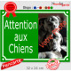 Photo personnalisable, plaque portail Vert "Attention aux Chiens" pluriel look plaque de rue 32 cm plusieurs