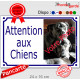 Photo personnalisable, plaque portail blanc liseré bleu "Attention aux Chiens" pluriel look plaque de rue 24 cm plusieurs