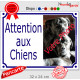 Photo personnalisable, plaque portail blanc liseré bleu "Attention aux Chiens" pluriel look plaque de rue 32 cm plusieurs