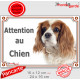 Cavalier King Charles Blenheim Tête, plaque portail "Attention au Chien" pancarte photo panneau blanc et orange marron