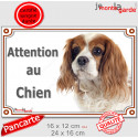 Cavalier King Charles Blenheim, plaque portail "Attention au Chien" 2 tailles LUX D