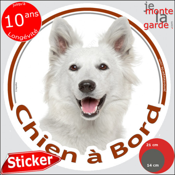 Berger Blanc Suisse, sticker rond "Chien à Bord" Disque autocollant adhésif voiture auto vitre photo