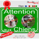 Photo personnalisable, plaque pluriel portail vert vif "Attention aux Chiens" look plaque de rue