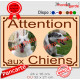 Photo personnalisable, plaque pluriel beige sable"Attention aux Chiens" look plaque de rue