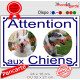 Photo personnalisable, plaque pluriel portail blanc liseré bleu "Attention aux Chiens" look plaque de rue