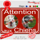 Photo personnalisable, plaque pluriel Bordeaux, Rouge Basque "Attention aux Chiens" look plaque de rue