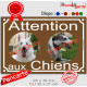 Photo personnalisable, plaque pluriel Marron Brun Chocolat "Attention aux Chiens" look plaque de rue