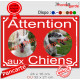 Photo personnalisable, plaque pluriel portail rouge vif "Attention aux Chiens" look plaque de rue