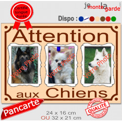 3 Photos personnalisables, plaque pluriel beige sable "Attention aux Chiens" look plaque de rue