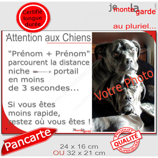 Photo Personnalisable, plaque humour PLURIEL "Attention aux Chiens, parcourent distance Niche-Portail moins 3 secondes, rapide"