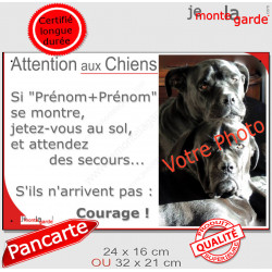 Photo Personnalisable, plaque humour PLURIEL "Attention au Chien, Jetez-Vous au Sol, courage" 2 tailles 3S