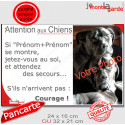 Photo Personnalisable, plaque humour PLURIEL "Attention au Chien, Jetez-Vous au Sol, courage" 2 tailles 3S