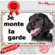 Flat Coated Retriever noir Tête, Plaque portail "Je Monte la Garde, risques périls" panneau affiche pancarte photo