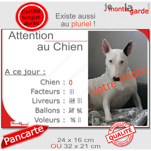 Photo Personnalisable, plaque portail humour "Attention au Chien, Nombre Ballons, facteurs, Livreurs, Voleurs"