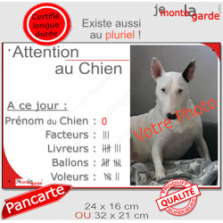 Photo Personnalisable, plaque humour "Attention au Chien, Nombre de Voleurs" 2 tailles NBR