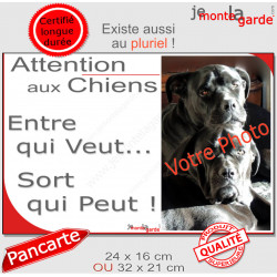 Photo Personnalisable, plaque humour PLURIEL "Attention aux Chiens, Entre qui Veut, Sort qui Peut" 2 tailles 3S