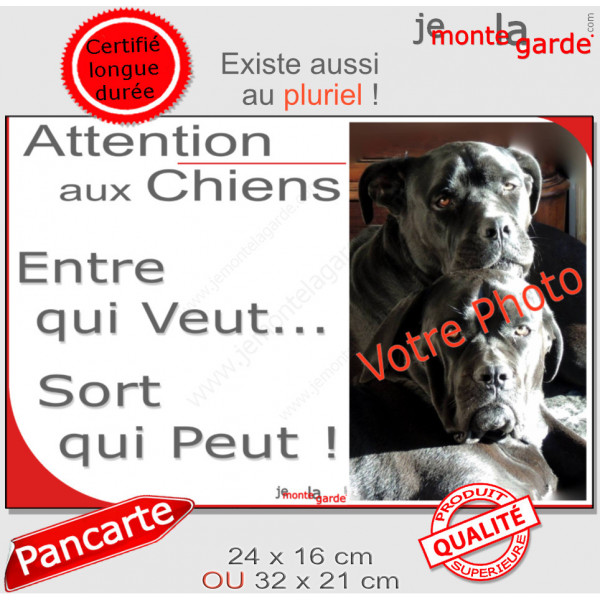 Photo Personnalisable, plaque portail humour PLURIEL "Attention aux Chiens, Entre qui Veut, Sort qui Peut" avec votre chien