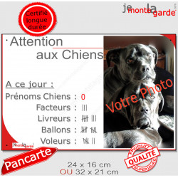 Photo Personnalisable, plaque humour PLURIEL "Attention aux Chiens, Nombre de Voleurs" 2 tailles NBR