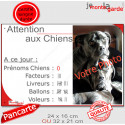 Photo Personnalisable, plaque humour PLURIEL "Attention aux Chiens, Nombre de Voleurs" 2 tailles NBR