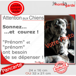 Photo Personnalisable, plaque humour PLURIEL "Attention aux Chiens, Sonnez et courez, besoin exercice" 2 tailles NBR