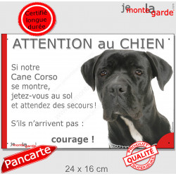 Cane Corso Italiano entièrement Noir Tête, Panneau humour "Attention au Chien, montre, jetez-vous au sol attendez secours" photo