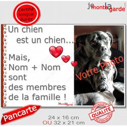 Photo Personnalisable, plaque PLURIEL "Nos chiens sont membres de la famille" 2 tailles LOVE