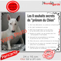 Photo Personnalisable, plaque "les 8 Souhaits Secrets" 2 tailles CDT