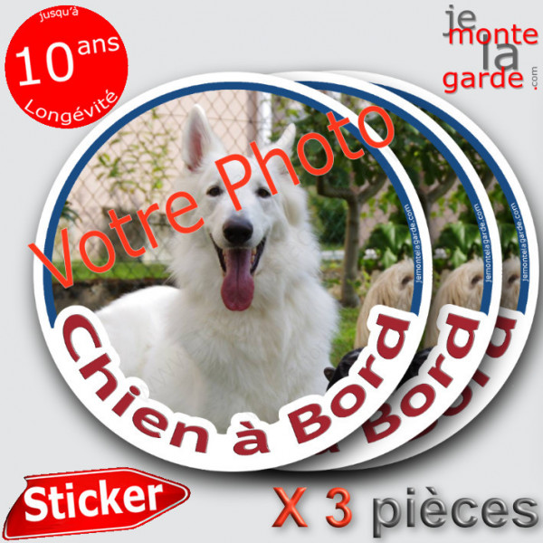 Photo personnalisable, Lot de 3 disques photo autocollants "Chien à Bord" Sticker adhésif rond sur mesure vitre voiture 14 cm