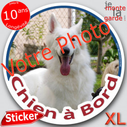 Photo Personnalisable, Disque autocollant voiture XL "Chien à Bord" 21 cm