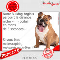 Bulldog Anglais fauve, plaque humour "distance Niche-Portail 3 secondes" 24 cm 3SEC