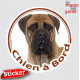 Bullmastiff fauve, disque photo autocollant "Chien à Bord" Sticker adhésif rond vitre voiture