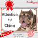 American Bully chocolat marron dilué Tête, plaque portail "Attention au Chien" pancarte entrée, panneau photo race