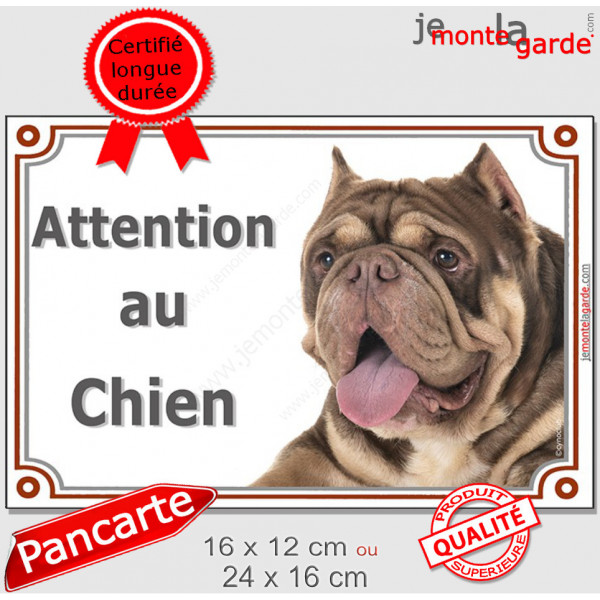 American Bully chocolat marron dilué Tête, plaque portail "Attention au Chien" pancarte entrée, panneau photo race