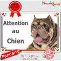 American Bully, plaque portail "Attention au Chien" 2 tailles LUX D