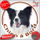 Border Collie noir et blanc poils longs, sticker autocollant rond "Chien à Bord" Disque adhésif vitre voiture auto photo