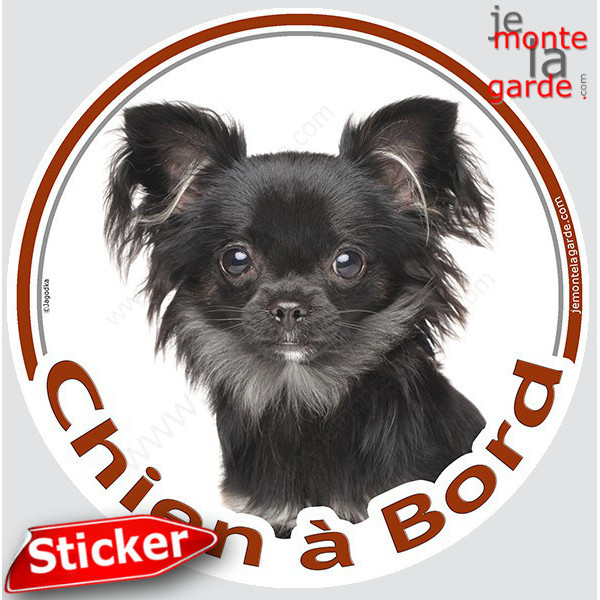 Chihuahua noir à poils longs Tête, sticker autocollant rond "Chien à Bord" Disque photo adhésif vitre voiture