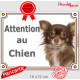 Chihuahua chocolat à poils longs, plaque portail "Attention au Chien" pancarte panneau photo Chiwawa marron