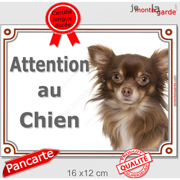 Chihuahua chocolat à poils longs, plaque portail "Attention au Chien" pancarte panneau photo Chiwawa marron