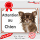 Chihuahua chocolat à poils longs, plaque portail "Attention au Chien" pancarte panneau photo Chiwawa marron