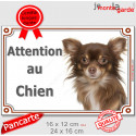 Chihuahua poils longs, plaque portail "Attention au Chien" 2 tailles LUX D