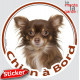 Chihuahua chocolat marron brun poils longs, sticker autocollant rond "Chien à Bord" Disque photo adhésif vitre voiture