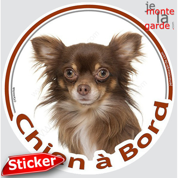 Chihuahua chocolat marron brun poils longs, sticker autocollant rond "Chien à Bord" Disque photo adhésif vitre voiture