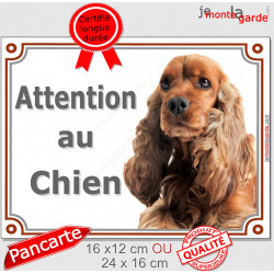 Cocker Anglais Golden marron roux, plaque portail "Attention au Chien" pancarte entrée, panneau photo race