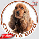 Cocker Anglais Golden roux marron, sticker autocollant rond "Chien à Bord" Disque photo adhésif vitre voiture