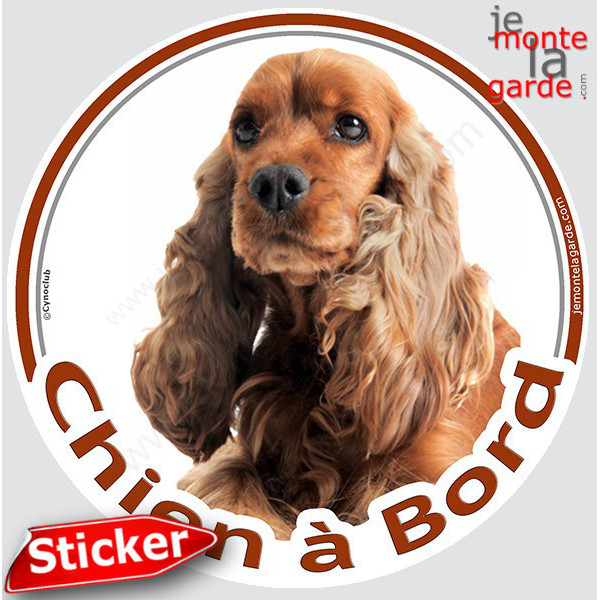 Cocker Anglais Golden roux marron, sticker autocollant rond "Chien à Bord" Disque photo adhésif vitre voiture