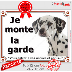 Dalmatien avec des taches foie, plaque portail "Je Monte la Garde, risques périls" panneau pancarte photo marron chocolat