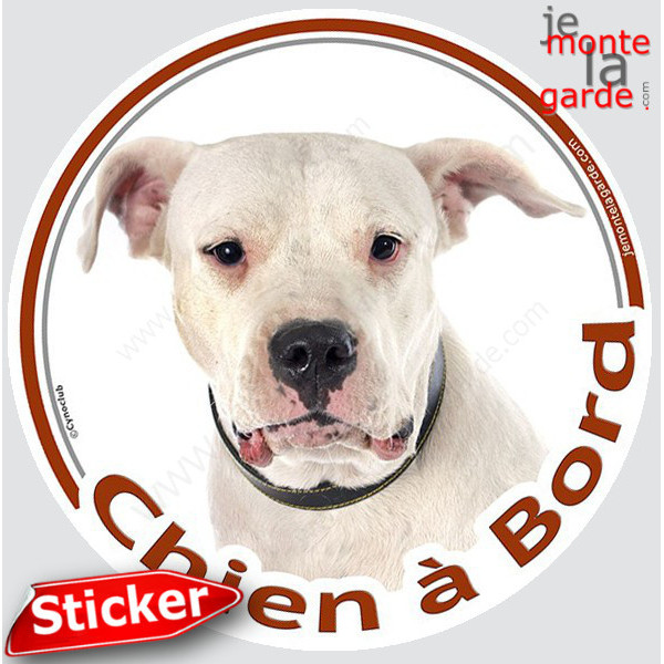 Dogue Argentin Tête, sticker autocollant rond "Chien à Bord" Disque photo adhésif vitre voiture chien