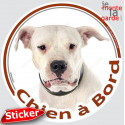 Dogue Argentin, sticker voiture rond "Chien à Bord" 15 cm - 3a