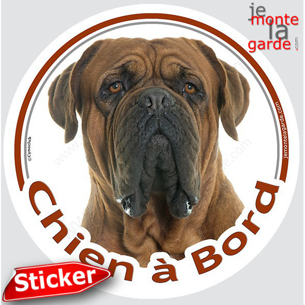 Dogue de Bordeaux face noire, sticker autocollant rond "Chien à Bord" disque photo face masque noire, adhésif voiture